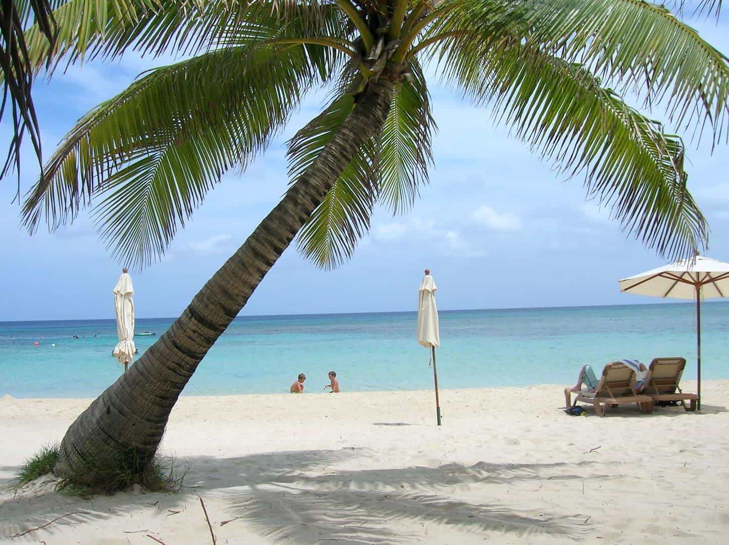 Infinity Bay Pool