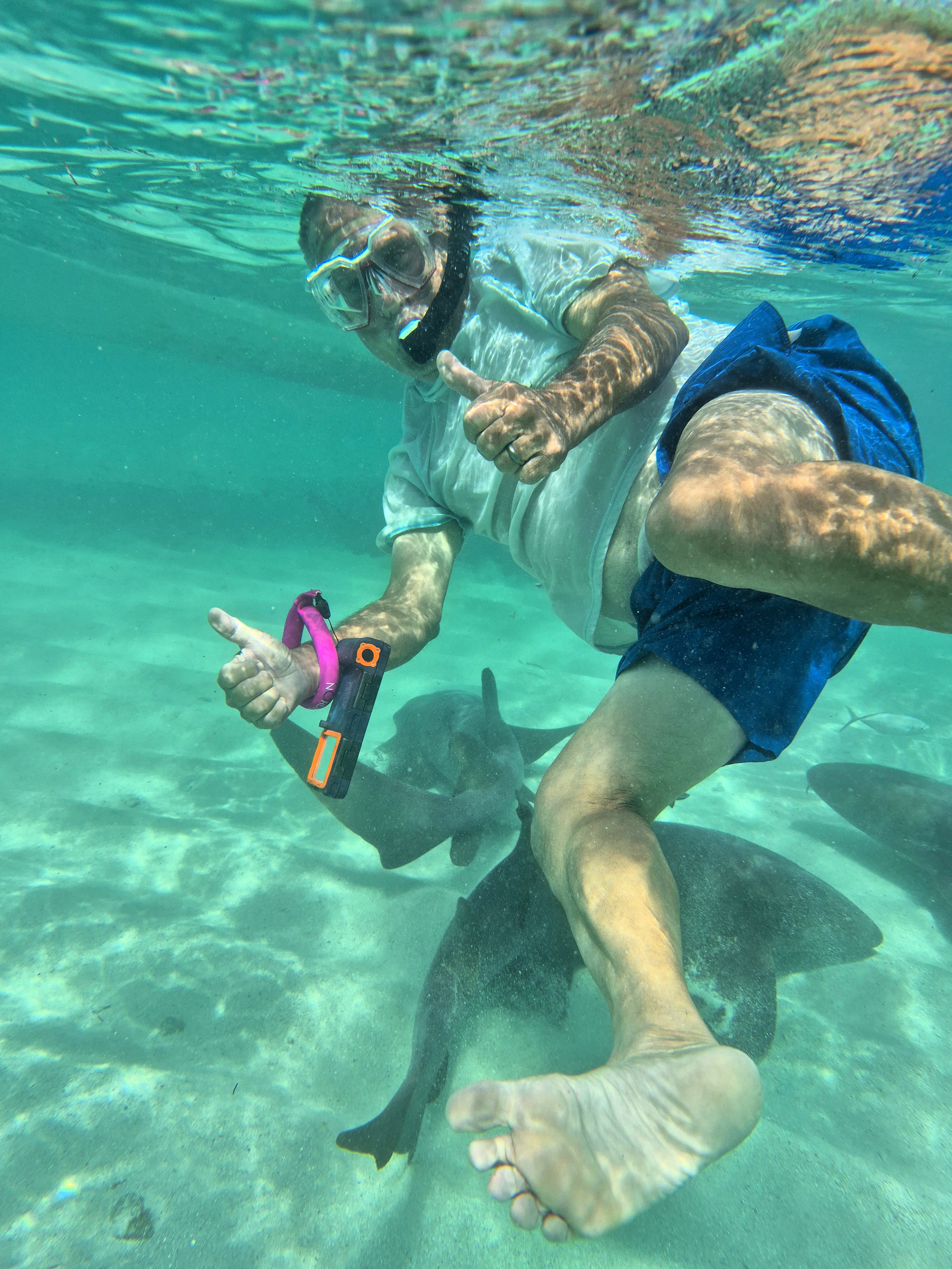 Snorkel