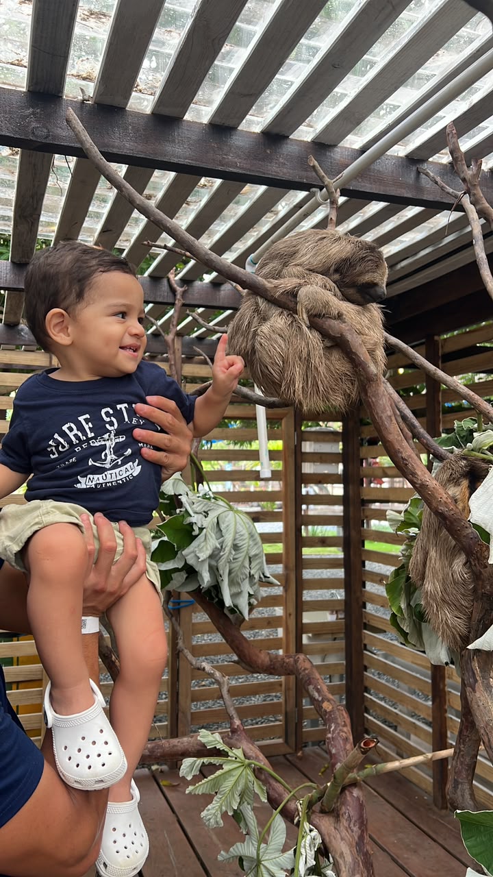 Sloth