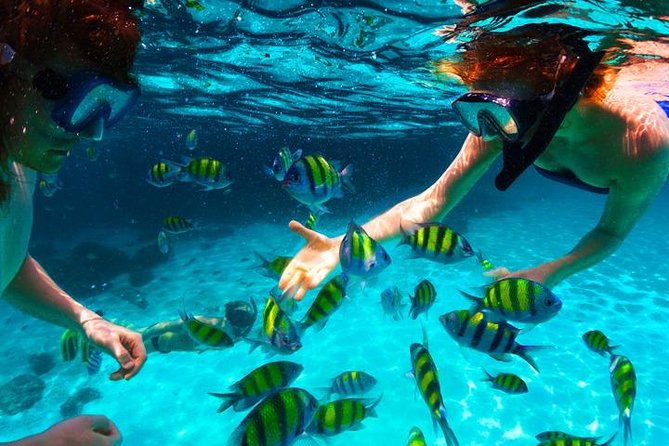 Snorkeling in Roatan